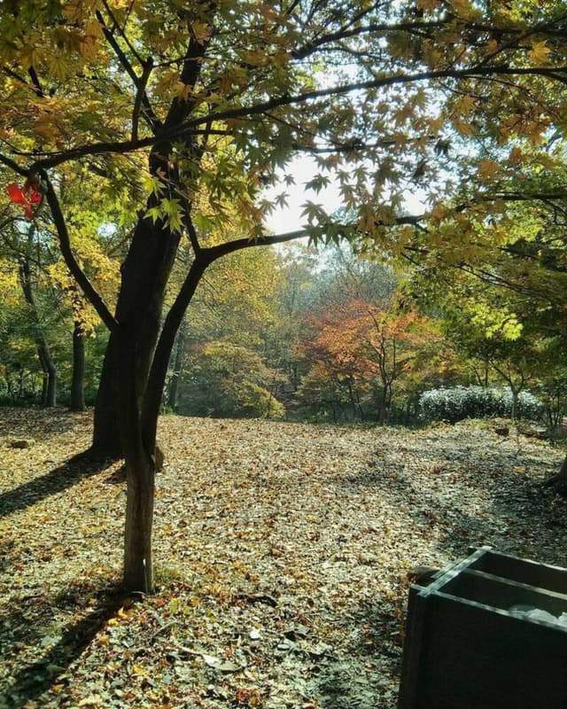 栖霞山